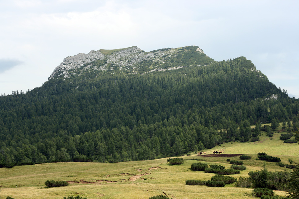 79690-monte-pena.jpg