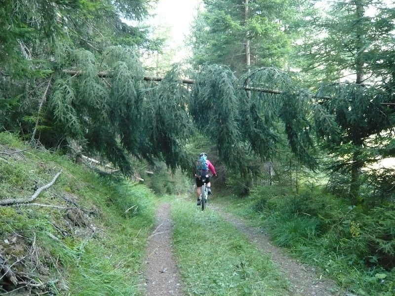79912-dreilander30.jpg