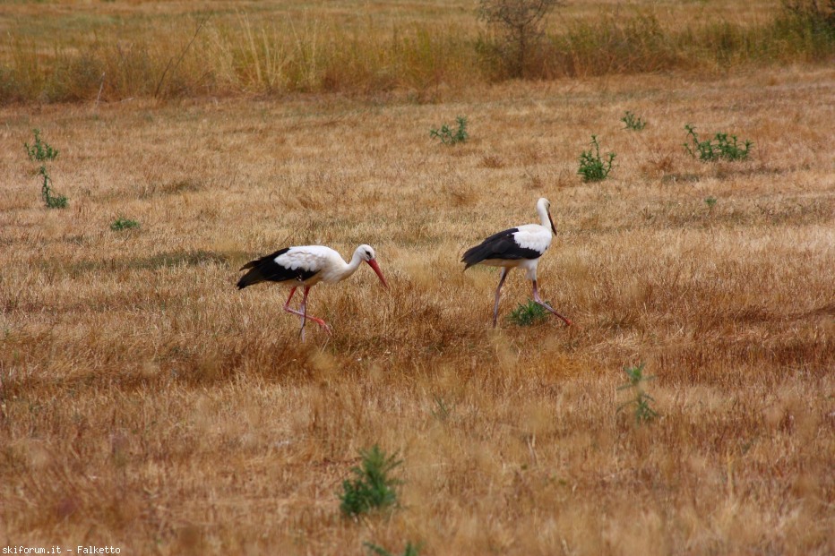 79971-2012-07-20-grecia-nord-on-the-road-230-1600x1200.jpg