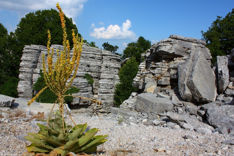 79976-2012-07-20-grecia-nord-on-the-road-315-1600x1200.jpg