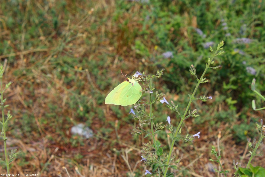 80356-2012-07-20-grecia-nord-on-the-road-542-1600x1200.jpg