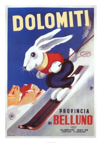 81421-poster-dolomiti-skiforum6.jpg