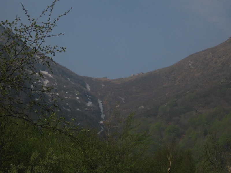 8371-img4278.jpg
