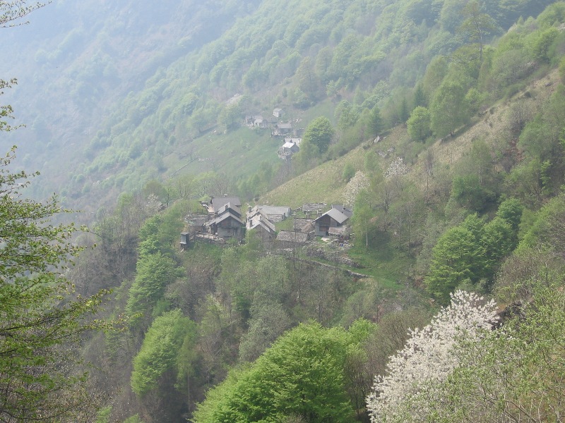 8373-img4306.jpg