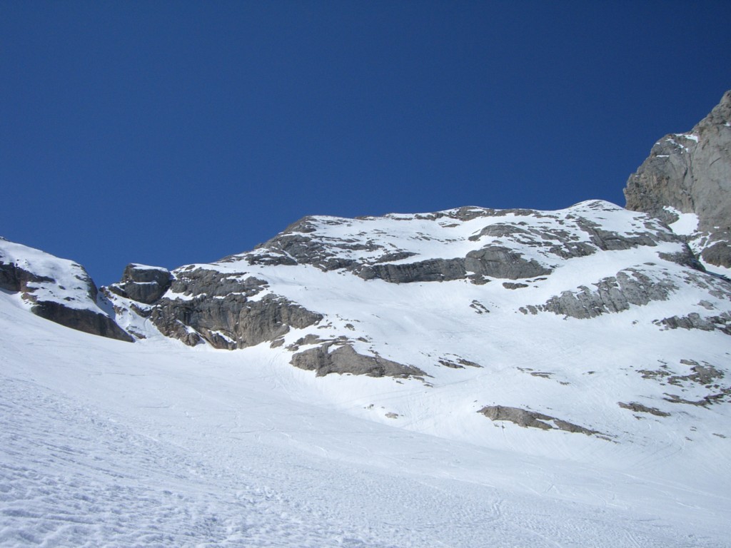 8384-salitapiccolovernel.jpg