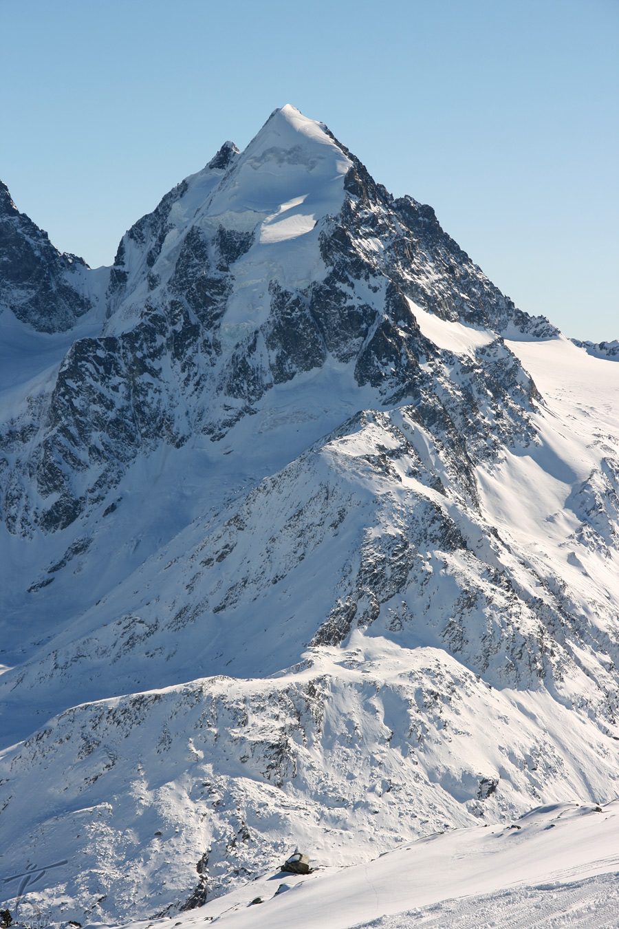 84121-piz-roseg.jpg