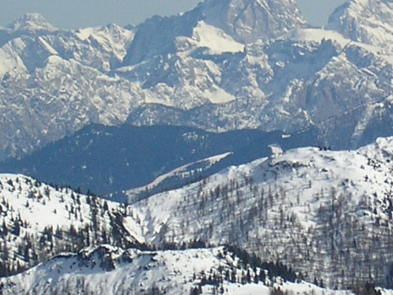 8466-14.jpg
