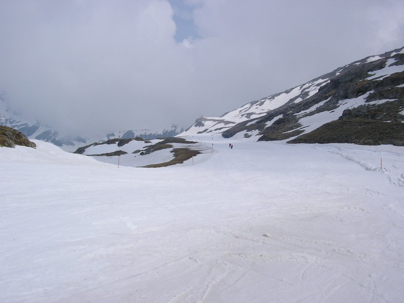 8590-p4300025.jpg