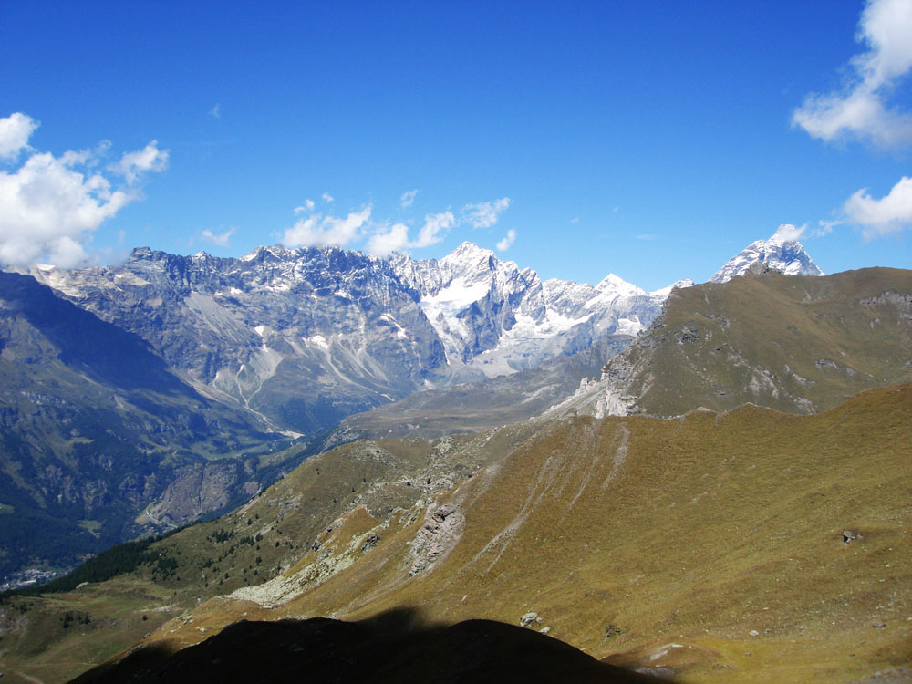 8619-cerv-grmurailles.jpg