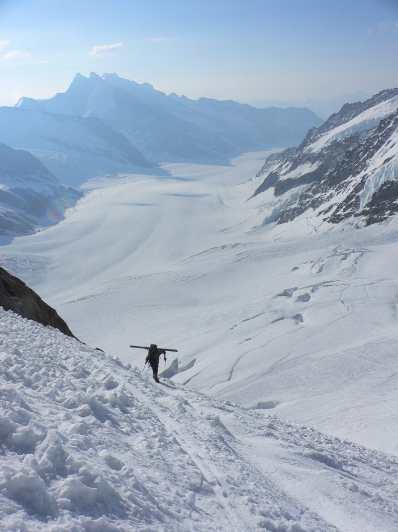 8676-jungfrau1.jpg