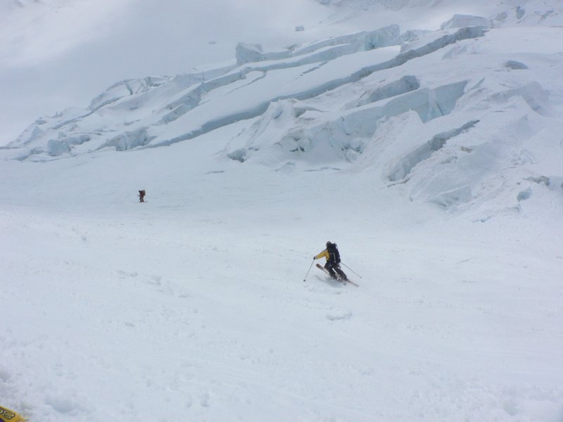8687-fiescher3.jpg