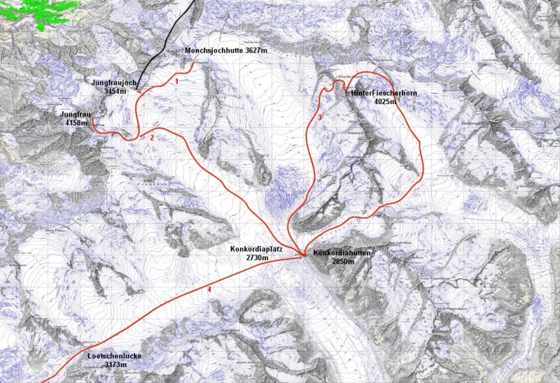 8697-oberland-bernese.jpg
