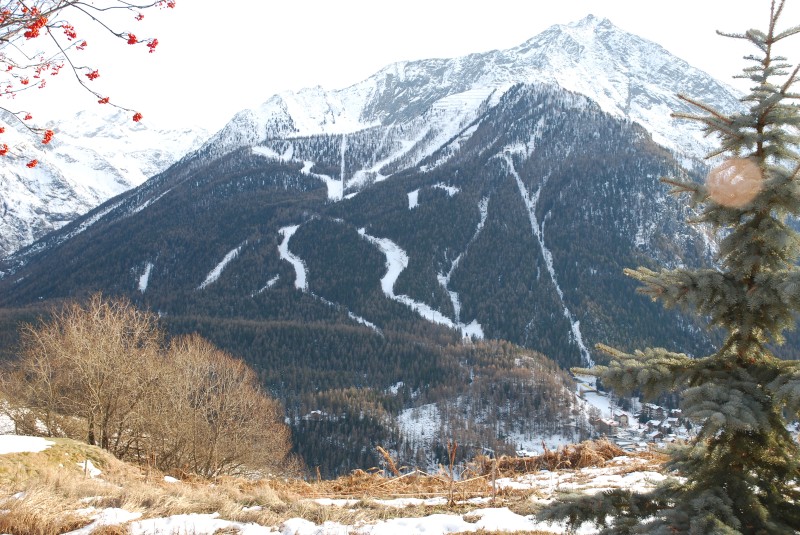 8698-piste-da-sci.jpg