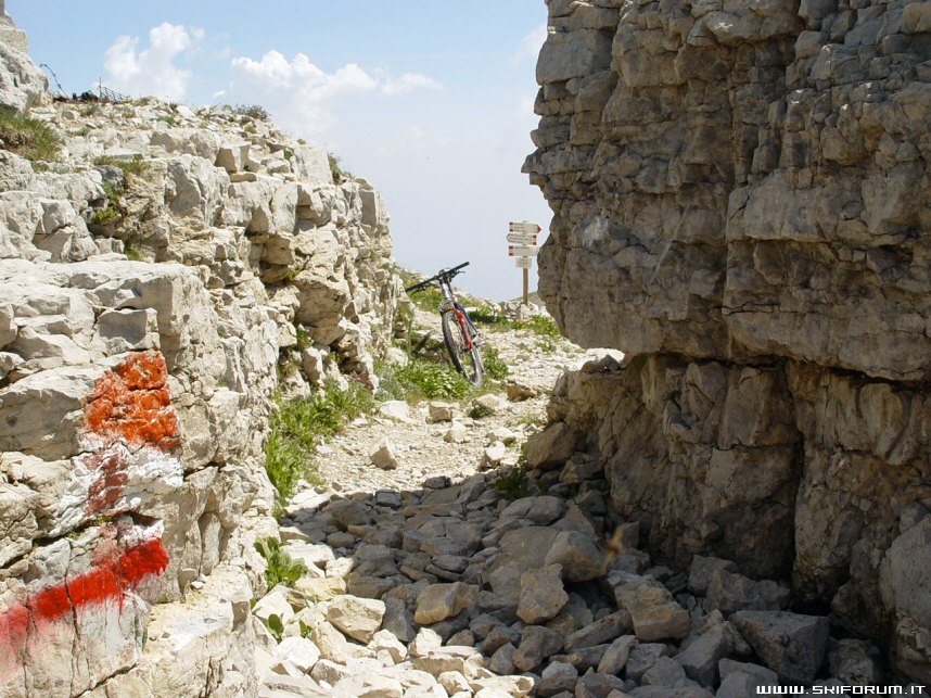 8855-mtb-pasubio-anello.jpg