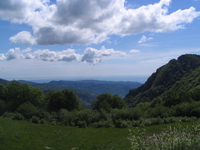 8867-copia-di-fuoco-052.jpg