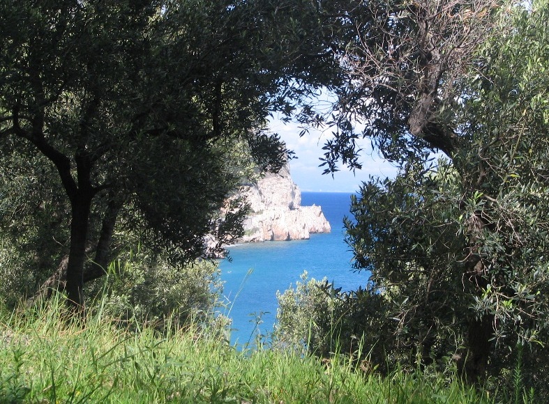 8872-copia-di-fuoco-058.jpg