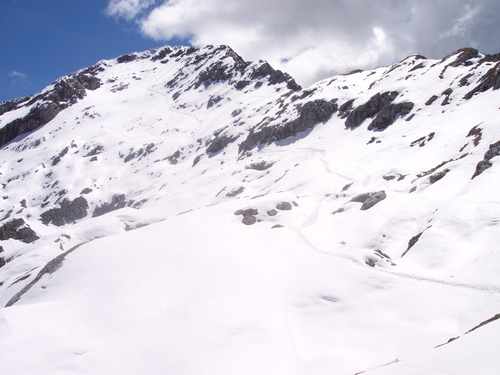 8947-1002509.jpg