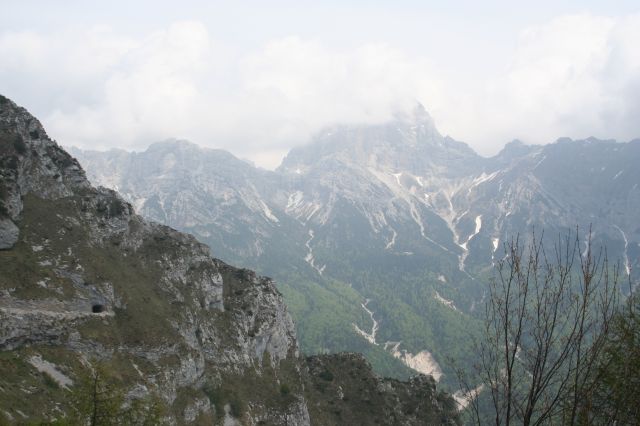 8987-img1310.jpg