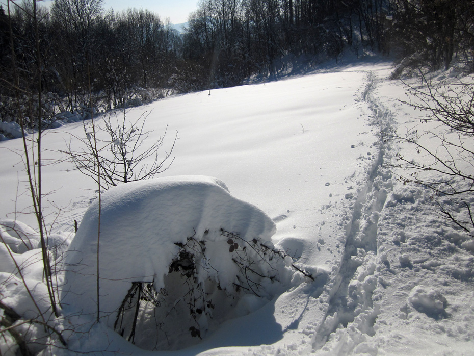 90827-neve.jpg