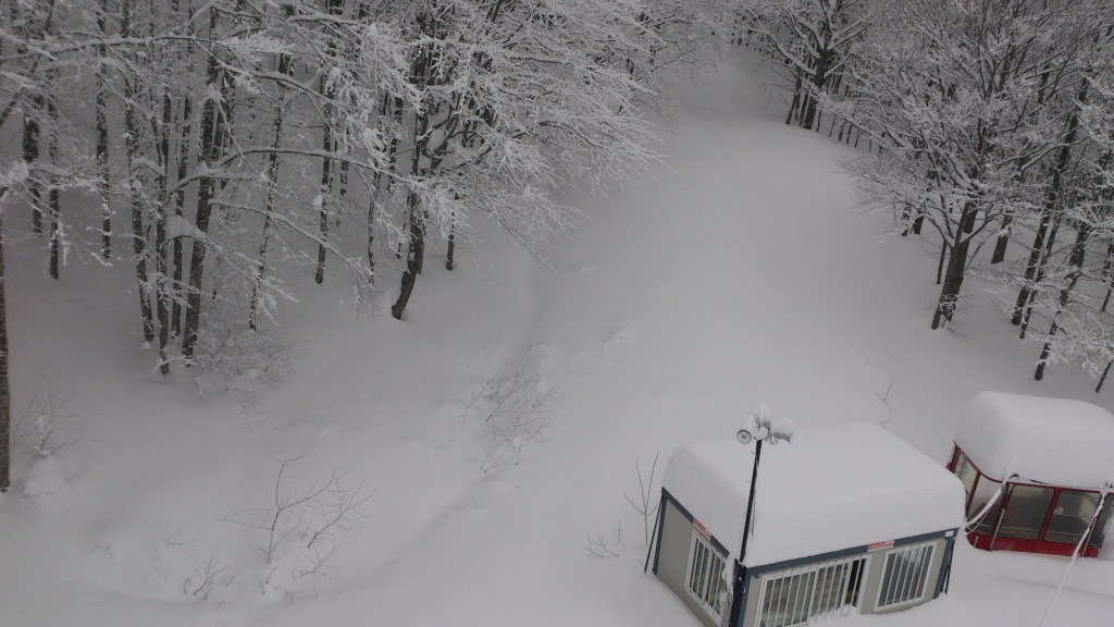 90893-cimone-1mt-di-neve-bis.jpg