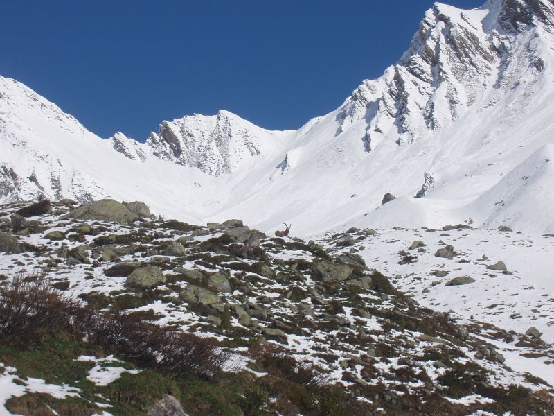 9124-p5180004.jpg
