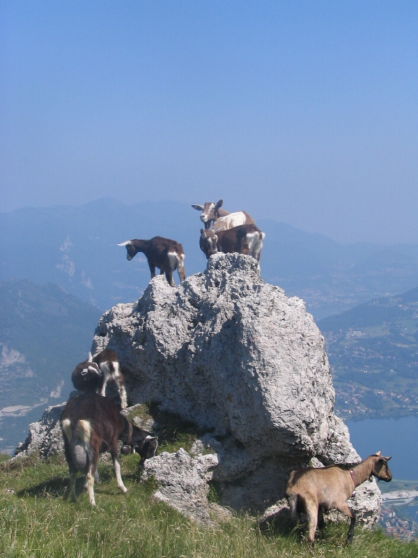 9164-copia-di-fuoco-078.jpg