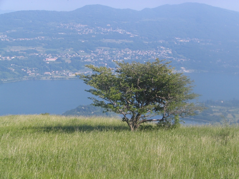 9172-copia-di-fuoco-099.jpg