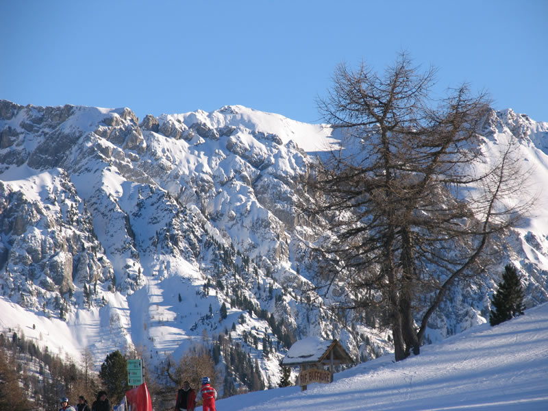 9233-fassaski0632.jpg