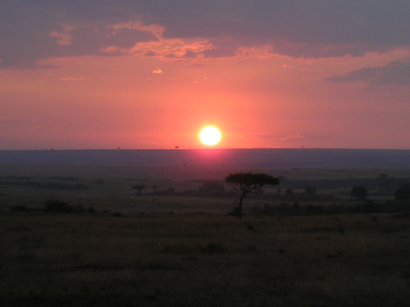 9429-alba-masai-mara-national-park-kenia.jpg