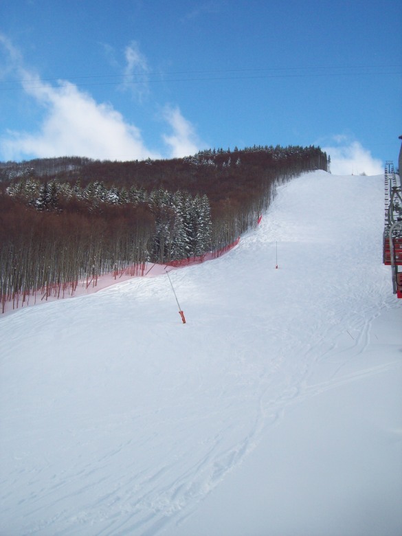 95138-029.jpg