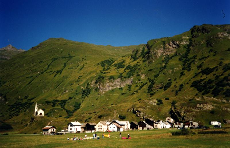 9521-wlf8.jpg