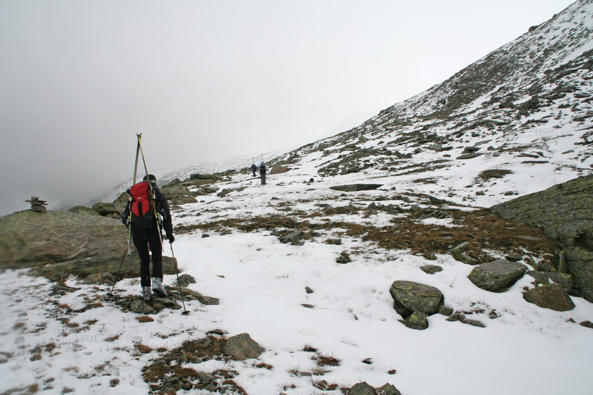 9564-fouraquasiallaneveres.jpg