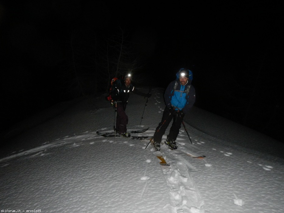 97280-dscn2417.jpg