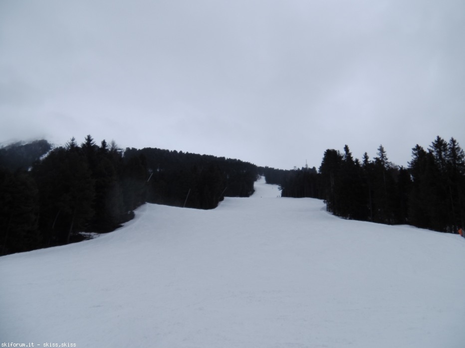 97343-imga0136.jpg