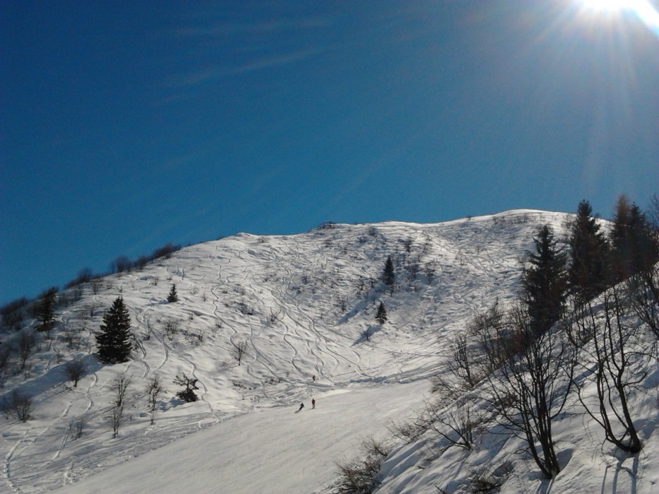 98360-2013-03-21-11.28.34.jpg