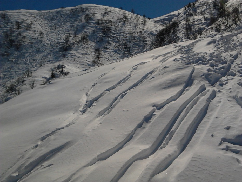 98361-2013-03-21-11.29.44.jpg
