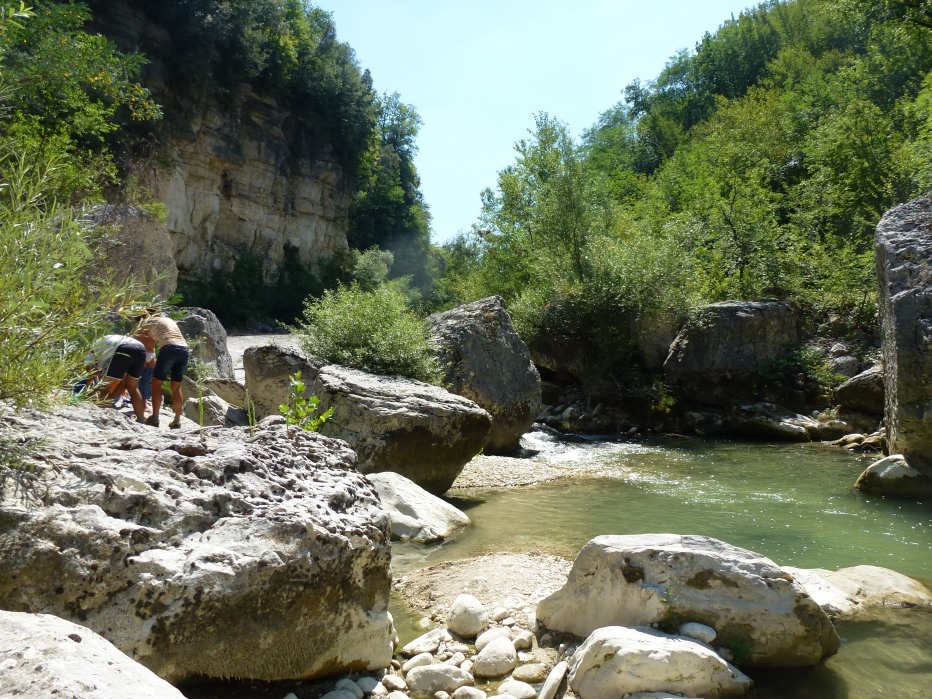 99793-p1010908.jpg