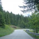 percorrendo la Val d'Ansiei in direzione Auronzo in mezzo a foreste spettacolari percorrendo la Val d'Ansiei in direzione Auronzo in mezzo a foreste spettacolari