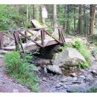 Ponticello di legno