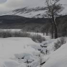 Ushuaia Webcam Ushuaia Webcam
