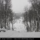 Ushuaia Webcam