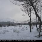 Ushuaia Webcam