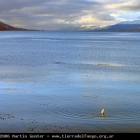 Ushuaia Webcam