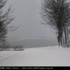 Ushuaia Webcam