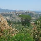 Orvieto