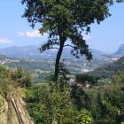 Panorama da pedrinate sulla valle di Novazzano