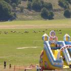 Divertimento per tutti...!!!