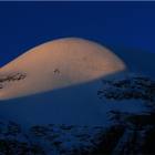 Ciarforon alba