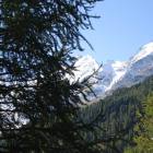 Il Bernina Il Bernina