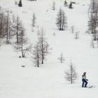 fuoripista arabba boschi
